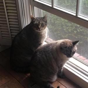 Meet your Posher, Sharon